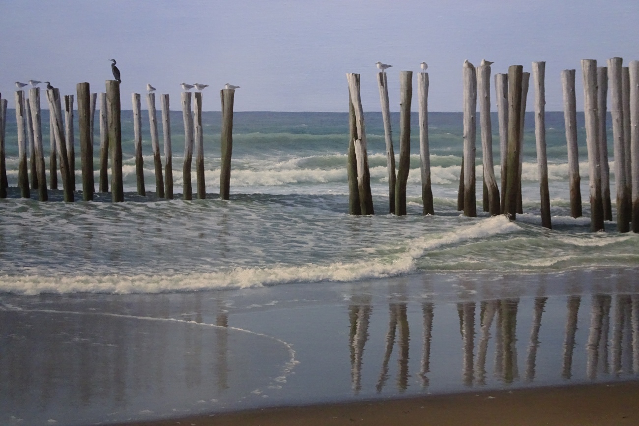 Vogels op paalhoofd, Strand Burgh-Haamstede 4